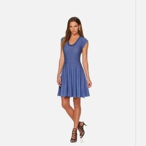 Wendy Williams Fit & Flare Royal Blue/ White Striped Dress 3x